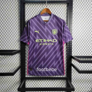 Manchester City Trikot 2023 2024 Torwart violett