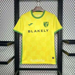 Norwich City Trikot 2024 2025 Heim Gelb